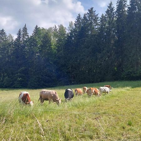 Ferienhaus Rosemarie Erlbach Vogtland Bagian luar foto