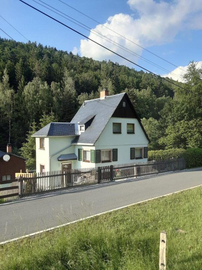 Ferienhaus Rosemarie Erlbach Vogtland Bagian luar foto