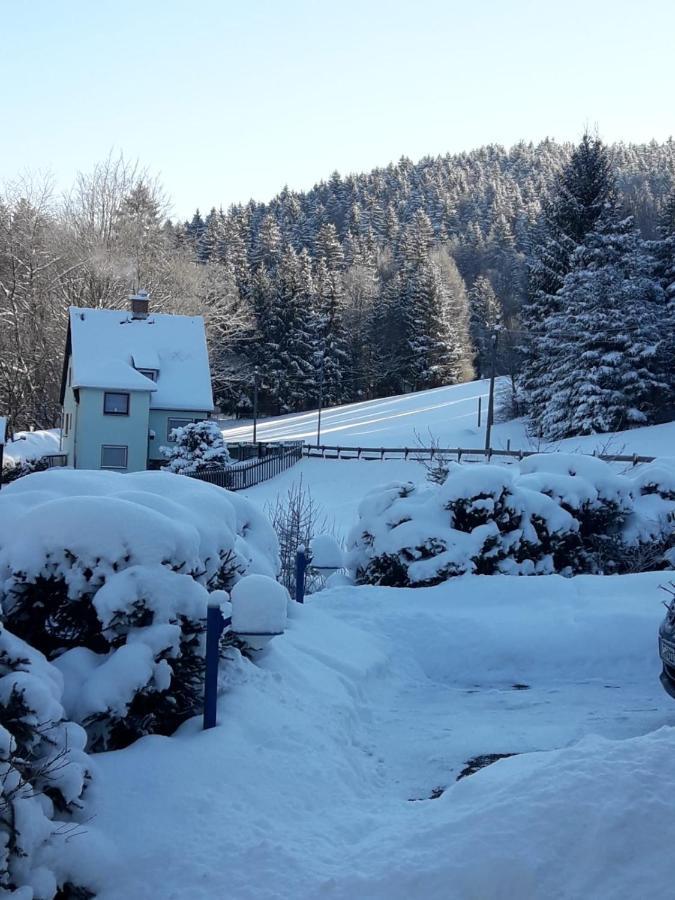 Ferienhaus Rosemarie Erlbach Vogtland Bagian luar foto