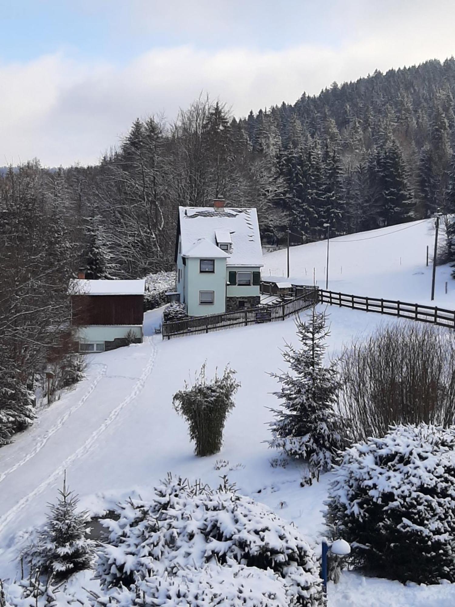 Ferienhaus Rosemarie Erlbach Vogtland Bagian luar foto