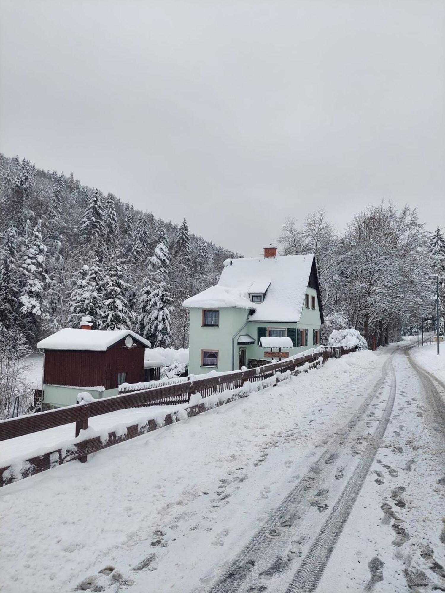 Ferienhaus Rosemarie Erlbach Vogtland Bagian luar foto